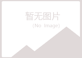 大同山柏冶炼有限公司